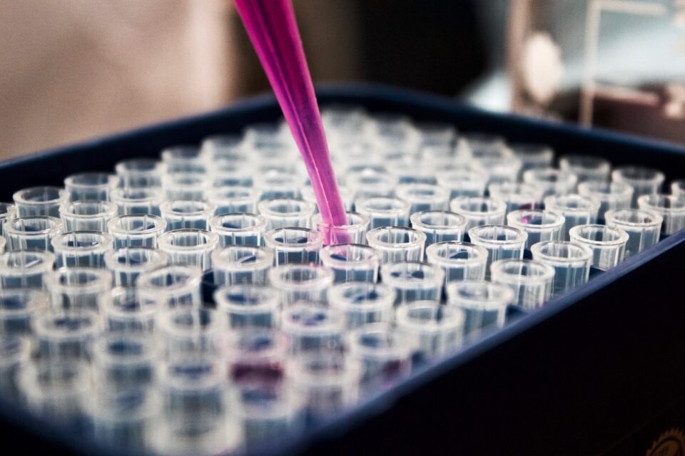 Lab experiment with pink pipette